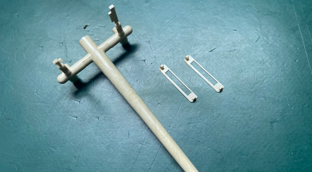 เสือชีต้า